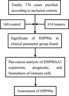 Analysis of the prognostic, diagnostic and immunological role of HSP90α in malignant tumors